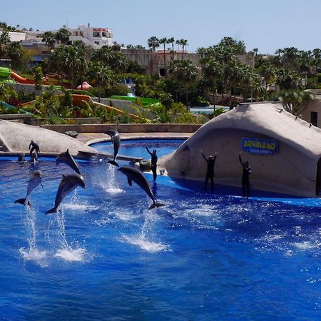 Amazing 3 Bedroom Apartment On The First Line Of The Best Las Americas Beach, Air Conditioner And Terrace Ocean View Playa de las Americas  Luaran gambar